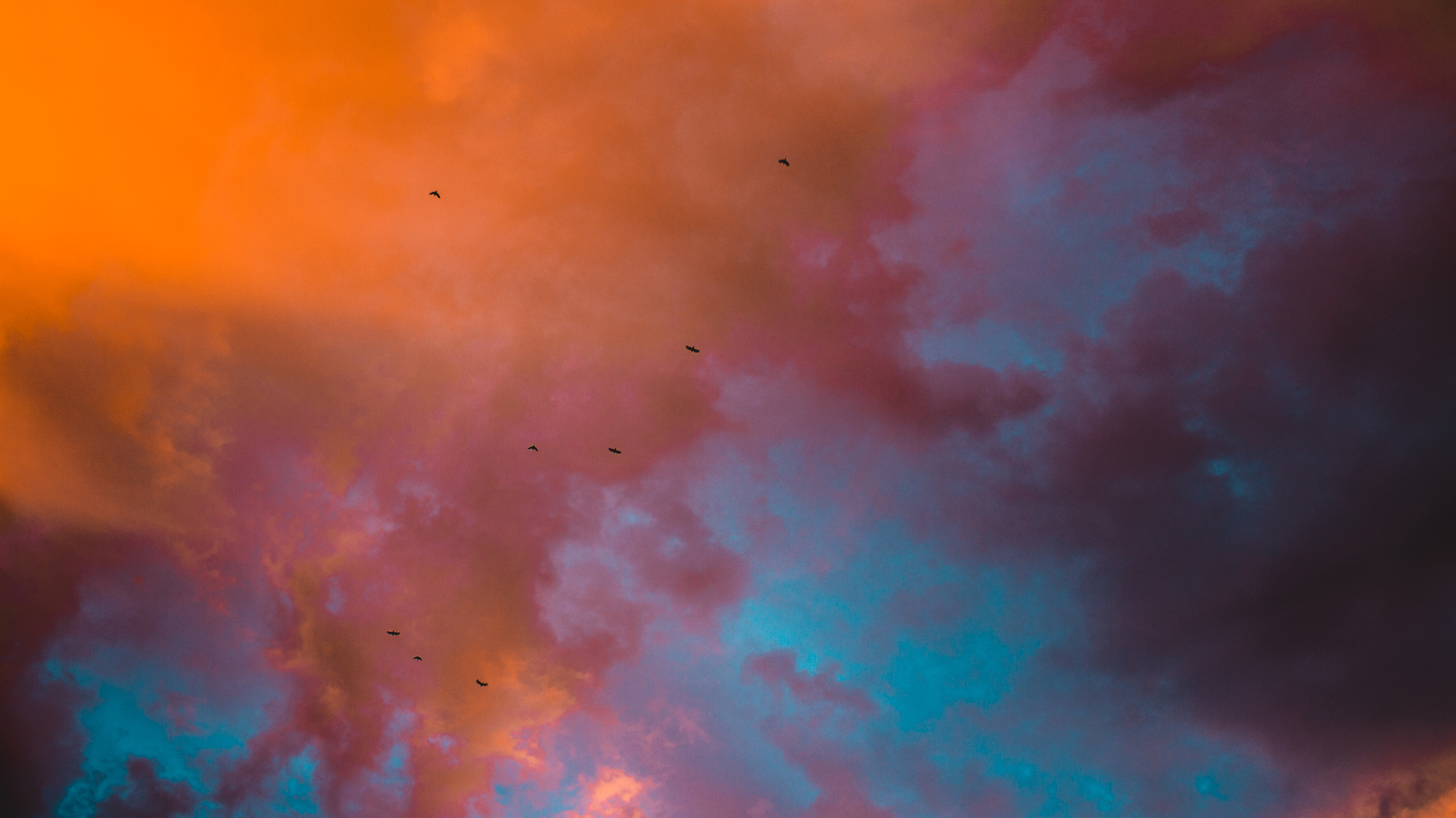 5184 x 2916wall_08d464ff31596df8d1c3cf14ad31c01d.jpg